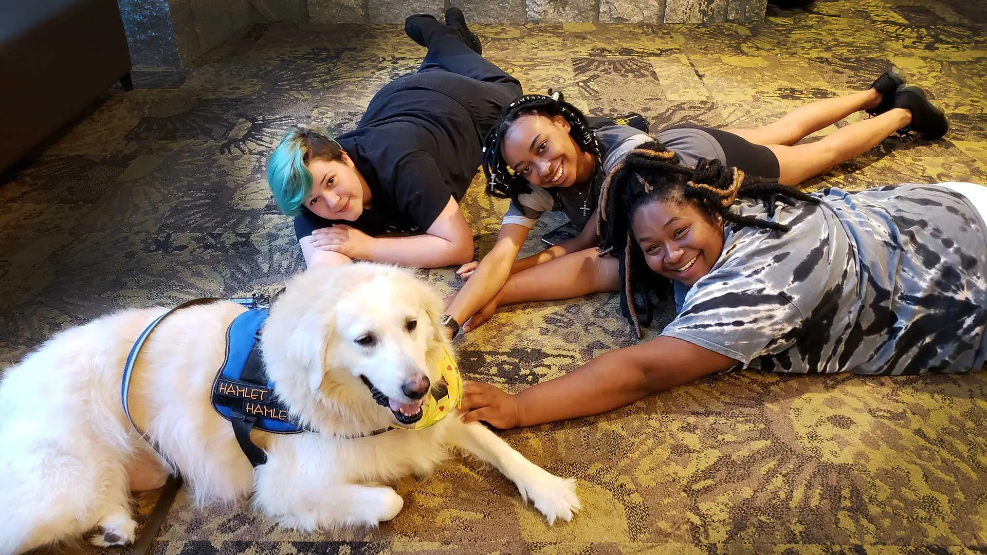 Students at Hamlet Oglethorpe engaging in a humane education activity