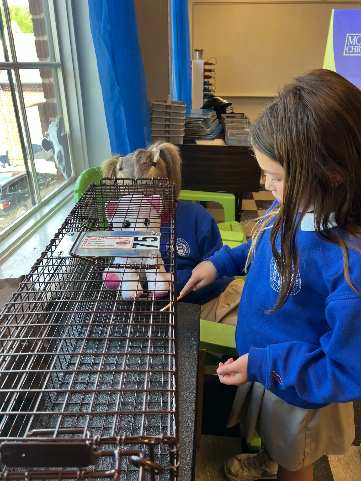 Students examining an animal-care learning activity during a classroom lesson.