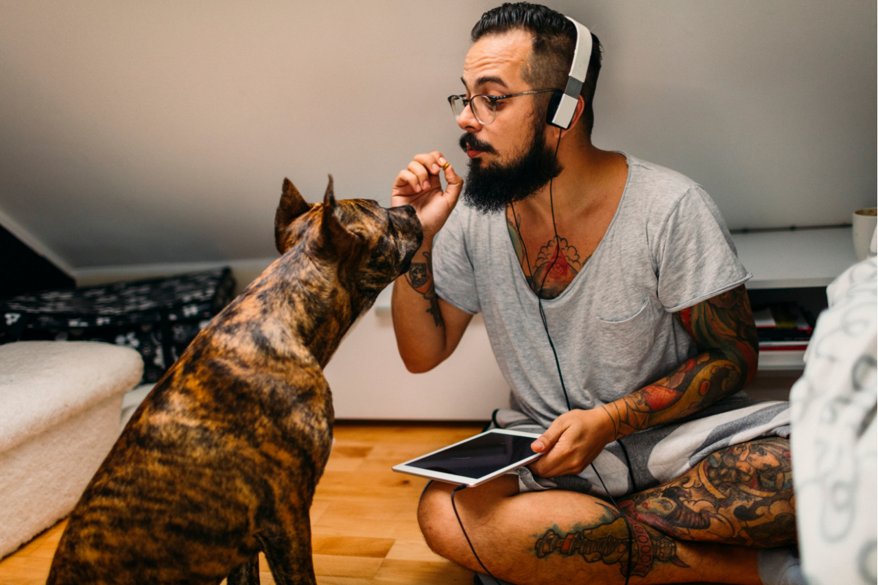 A man talks to a dog